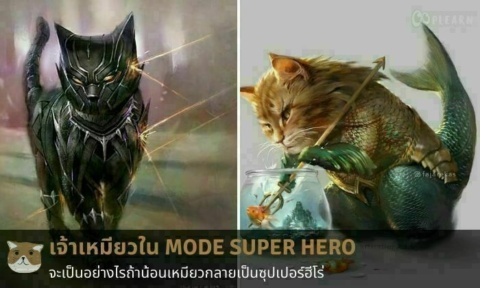 Cat Hero จะเป็นอย่างไร ถ้าเหล่าน้องแมวแปลงกายซุปเปอร์ฮีโร่