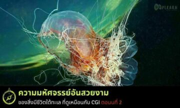 ภาพถ่ายของสิ่งมีชีวิตใต้ทะเลที่เหมือนใช้ CGI ตอนที่ 2