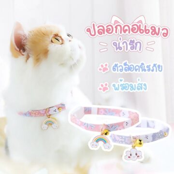 พร้อมส่ง🌈ปลอกคอแมว#มีขนาดแมวเด็กและแมวโต#ปลอกคอแมวน่ารัก#ปลอกคอแมวนิรภัย#ปลอกคอแมวคุณหนู#ปลอกคอสายรุ้งก้อนเมฆ