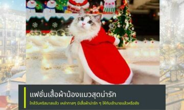 เสื้อผ้าแมวน่ารัก ๆ ในวันคริสต์มาส ถูกใจทั้งทาสและเจ้านาย