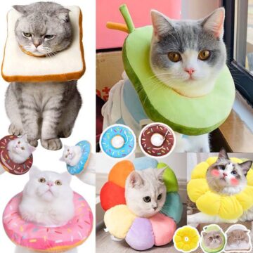 💥พร้อมส่ง💥ปลอกคอกันเลีย ปลอกคอสัตว์เลี้ยง คอลล่ากันเลีย คอลล่าแมว คอลล่าสุนัข🎊รอบคอ ป้องกันการเลียแผลนุ่มนิ่มใส่สบาย