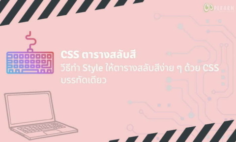 CSS ตารางสลับสี วิธีทำ Style สลับสีตารางง่าย ๆ ในบรรทัดเดียว