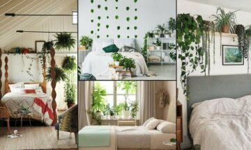 ต้นไม้ฟอกอากาศในห้องนอน 2569 ช่วยลดสารพิษ ภายในห้องนอน