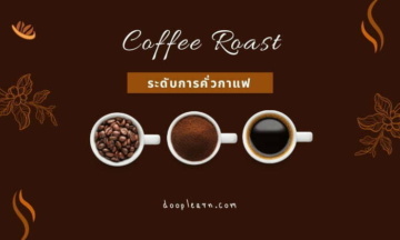 รสชาติของกาแฟ กับ ระดับการคั่วกาแฟ ความแตกต่าง รสชาติ การชง