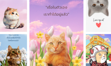 วอลเปเปอร์รูปแมว 2569 น่ารักๆ ภาพหน้าจอสุดน่ารัก วอลเปเปอร์รูปแมว 2569 น่ารักๆ ภาพหน้าจอสุดน่ารัก