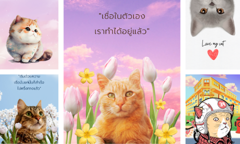 วอลเปเปอร์รูปแมว 2569 น่ารักๆ ภาพหน้าจอสุดน่ารัก